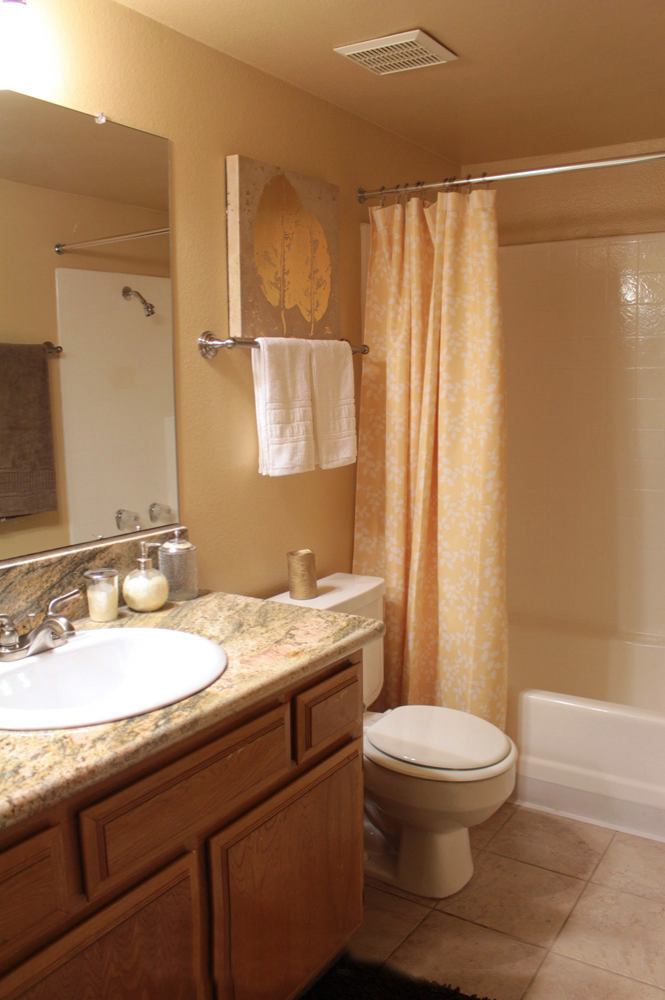 This image is the visual representation of 1 bed model 8 in Rose Pointe Apartments.